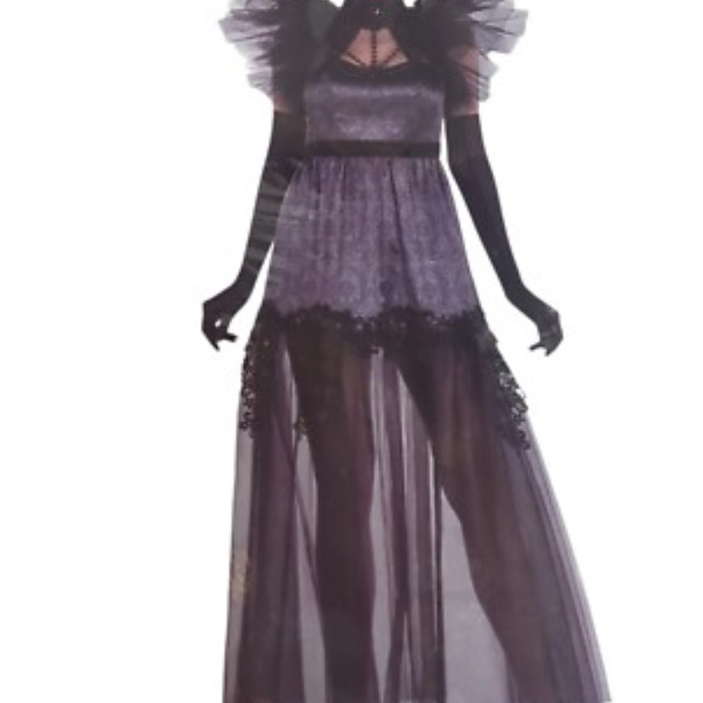 Dark Empress Party City Purple Sheer Maxi Dress Costume